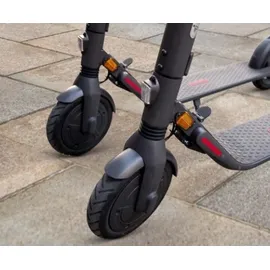 Segway Ninebot E45D E-Scooter (9 Zoll, Grau)