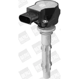 BorgWarner (Beru) Beru Zündspule