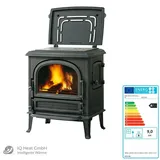 Leda Kaminofen Antigua K Borkum K 9 kW schwarz lackiert Werkstattofen Gussofen