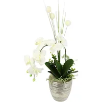 I.GE.A. Kunstblume Arrangement Orchidee/Gras, I.GE.A., Höhe 60 cm, Topf aus Keramik beige