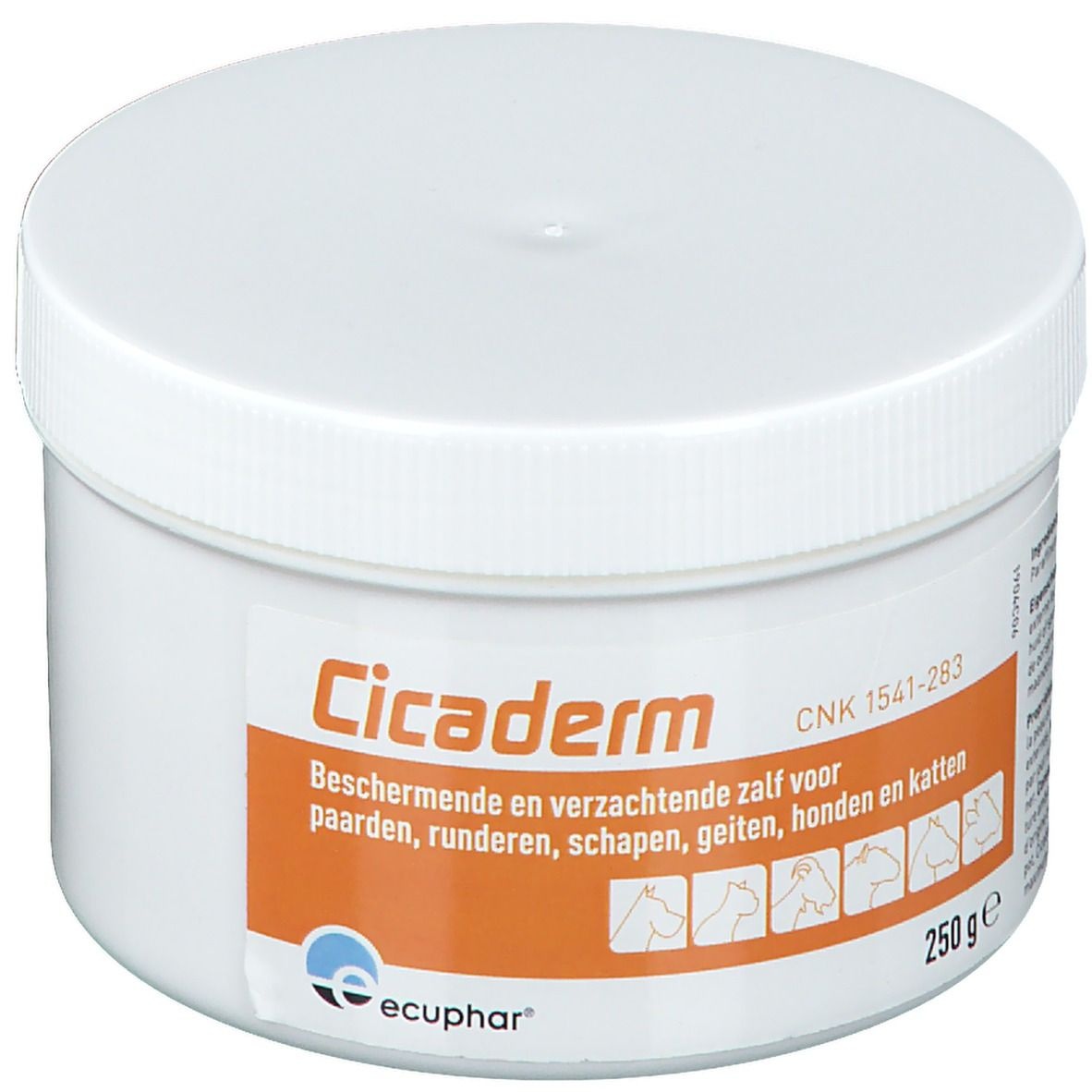 Cicaderm Crème Pis 250 g crème