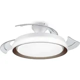 Philips Bliss Deckenventilator mit Beleuchtung