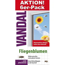 Fenster-Fliegenblume