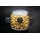 WOLL Diamond Lite Induktion Gussbräter 26x26 cm