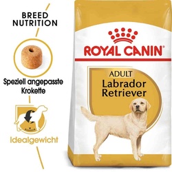 Royal Canin Labrador Retriever Adult Hundefutter trocken 3kg