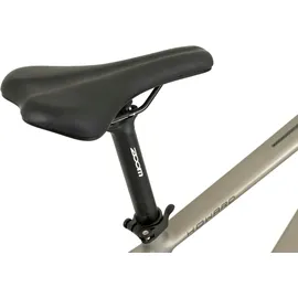TOTEM Urban E-Bike Fitness 28 Zoll RH 48 cm Unisex platin