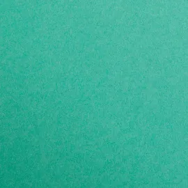 Clairefontaine Maya Bastelkarton A3 185g 25 Bogen Tannengrün