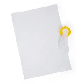 Small Foot Company Small foot 12419 - Pferdepflege-Set mit Tasche,