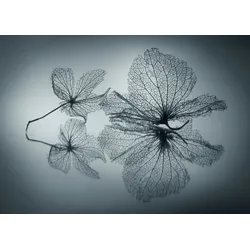 Fototapete PAPERMOON "Photo-Art SHIHYA KOWATARI, EIGNERISCHE SCHÖNHEIT", bunt, B:5,00m L:2,80m, Vlies, Tapeten