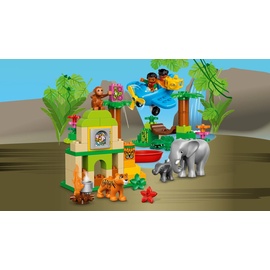 LEGO Duplo Dschungel 10804