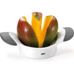 Parti Mangoschneider