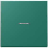 Jung Wippe 1fach mit Lichtleiter LC 990 KO5216)