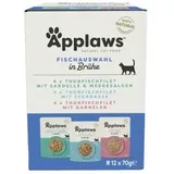 Applaws Nassfutter Seefisch 24 x 70 g