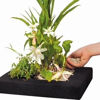 Velda Floating Plant Island eckig 35 cm