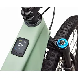 Specialized Turbo Levo R Expert 2026 29 Zoll RH 3 cm Pistachio/Dark Moss Green