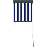 vidaXL Außenrollo 60 x 250 cm Blau und Weiß
