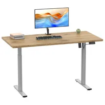 VCM Schreibtisch Lona elektrisch verstellbar 110 x 80