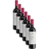 Zonin Classici Primitivo Puglia IGT (6 x 0,75l)