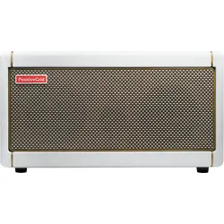 Positive Grid Spark 40 Pearl