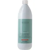 Amethyste Hair Loss Control Shampoo 1000 ml