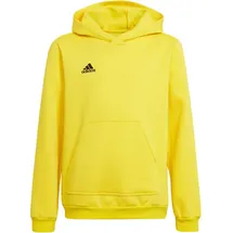 adidas Entrada 22 Hoodie Gelb 164