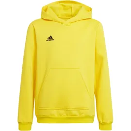 adidas Entrada 22 Hoodie Gelb 164