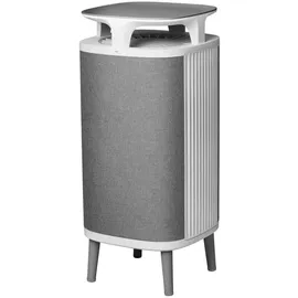 Blueair DustMagnet 5240i Grau