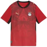 Puma Ägypten Trikot 2026
