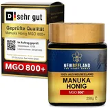 NEWBEELAND Manuka Honig MGO 800+ – 250g – lichtgeschütztes Glas, 100% purer P...