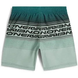 O'Neill Logo Stripe Badeshorts Grün 128