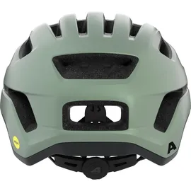 Alpina Paranus MIPS 52-56 cm willow-green matt 2021