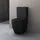 doporro Stand-WC mit WC-Sitz Schwarz matt
