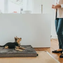 Hunter Orthopädische Hundematte Tirano XL 120 x 70 cm grau