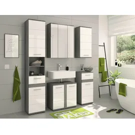 xonox.home Bad-Hängeschrank Blake Rauchsilber 35 cm eintürig