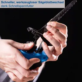 SCHEPPACH BC-RS250-X