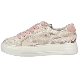 Paul Green Sneaker Low Rosa 38