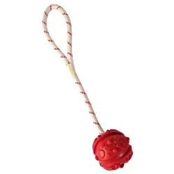 TRIXIE Ball am Seil 4.5 cm