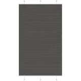 vidaXL Plissee 120 x 200 cm schwarz