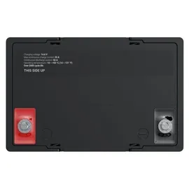 Green Cell Lifepo4 Cube 12V 50 Ah 1 St.