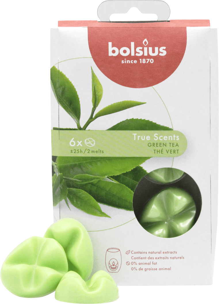 TRUE SCENTS WAX MELTS, Green Tea, Grüner Tee, Duftschmelzblüten von BOLSIUS, Duftdauer ca. 25h, 6 Stück pro Verpackung, Raumduft