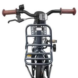 vidaXL Kinderfahrrad 16 Zoll grau