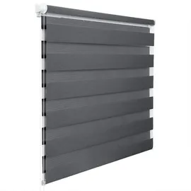 Woltu Doppelrollo 70 x 150 cm grau