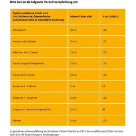 Hübner Eisen Vital Tabletten 500 ml