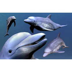Fototapete PAPERMOON "DELFINE-ZAHNWAL TIER SEE OZEAN MEER WASSER WALE ORCA", bunt, B:3,00m L:2,23m, Vlies, Tapeten
