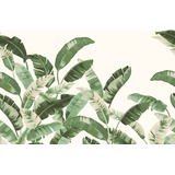Rasch Textil Rasch Tapeten Vliestapete (Botanical) Grün weiße 3,00 m x 4,00 m Florentine III 485929