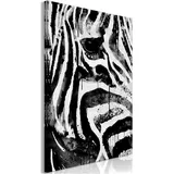 Artgeist Artgeist, Wandbild Zebra, Leinwand, Hochformat, 80 x 120 cm)