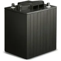Kärcher Batterie (12 V, 60 Ah (C5) / wartungsfrei)