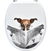 Wc Sitz Hund mit Zeitung Toilettendeckel Klodeckel Klobrille Toilettensitz Mdf Klositz