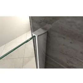Aloni Walk In Dusche Begehbare Duschwand Glas Duschabtrennung Duschtrennwand Glastrennwand Glaswand mit Nano-beschichtung (bxh) 500 x 2000 mm