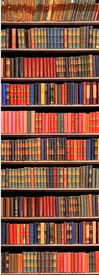 Fototapete LIVING WALLS "historische Bibliothek", bunt, B:1m L:2,8m, Vlies, Tapeten, FSCÂ